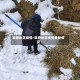 草原地区疫情/草原地区疫情最新情况