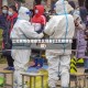 江北疫情在哪些地区爆发(江北疫情防控)