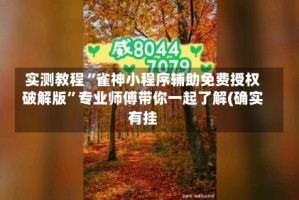 实测教程“雀神小程序辅助免费授权破解版”专业师傅带你一起了解(确实有挂