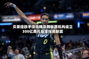 贝莱德联手淡马锡及阿联酋机构成立300亿美元基建投资联盟