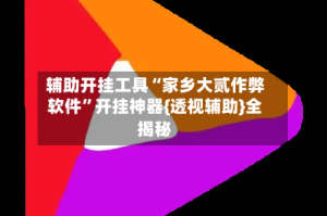 辅助开挂工具“家乡大贰作弊软件”开挂神器{透视辅助}全揭秘