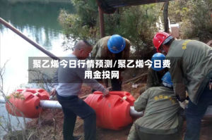 聚乙烯今日行情预测/聚乙烯今日费用金投网