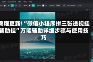 教程更新!“微信小程序拼三张透视挂辅助挂”万能辅助详细步骤与使用技巧