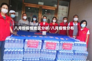 八月份疫情地区分析/八月疫情分布图