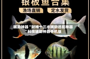 辅助神器“财神十三水辅助透视神器”科技辅助神器手机版