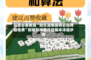 玩家必看教程“微乐湖南麻将必赢神器免费”附辅助神器开挂脚本详细步骤