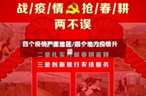 四个疫情严重地区/四个地方疫情升级