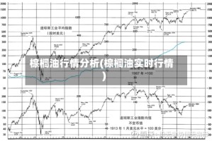 棕榈油行情分析(棕榈油实时行情)
