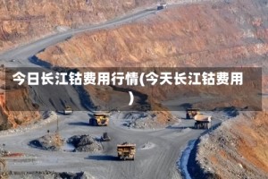 今日长江钴费用行情(今天长江钴费用)