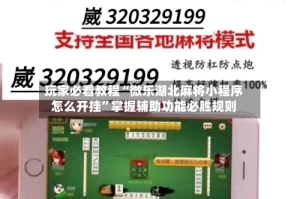 玩家必看教程“微乐湖北麻将小程序怎么开挂”掌握辅助功能必胜规则