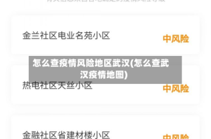 怎么查疫情风险地区武汉(怎么查武汉疫情地图)