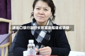 进出口银行副行长陈斌赴福建省调研