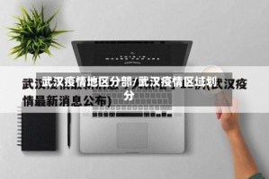 武汉疫情地区分部/武汉疫情区域划分