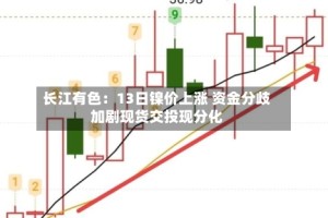 长江有色：13日镍价上涨 资金分歧加剧现货交投现分化