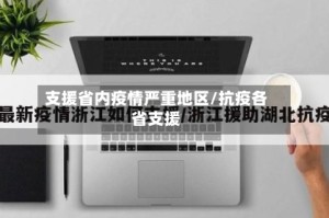 支援省内疫情严重地区/抗疫各省支援