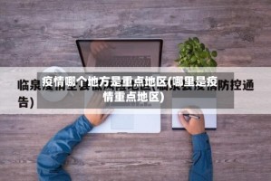 疫情哪个地方是重点地区(哪里是疫情重点地区)