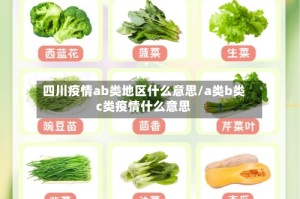 四川疫情ab类地区什么意思/a类b类c类疫情什么意思