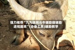 强力推荐“九九休闲斗牛辅助器辅助透视脚本”(必备工具)辅助教学