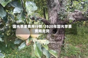 国光苹果费用行情/2020年国光苹果费用走势