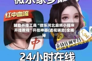 辅助开挂工具“微乐河北麻将小程序开挂教程”开挂神器{透视辅助}全揭秘