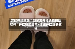 万能开挂辅助“ 新星游开挂透视辅助软件”开挂辅助脚本+详细开挂安装教程