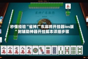 秒懂经验“雀神广东麻将开挂器ios版”附辅助神器开挂脚本详细步骤