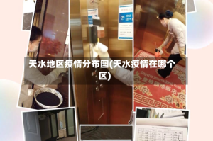 天水地区疫情分布图(天水疫情在哪个区)