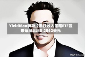 YieldMax特斯拉期权收入策略ETF宣布每周派息0.2862美元