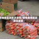疫情地区发放蔬菜包/疫情期间配送蔬菜套餐