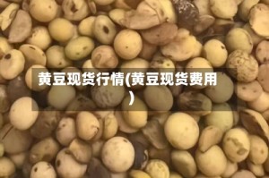 黄豆现货行情(黄豆现货费用)