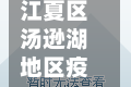 江夏区汤逊湖地区疫情/武汉江夏区汤逊湖地图