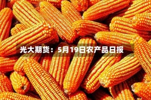 光大期货：5月19日农产品日报