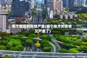 哪个地区的疫情严重(哪个地方的疫情又严重了)