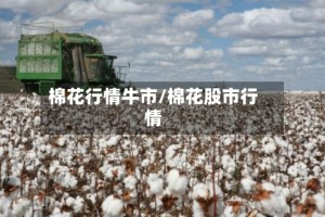 棉花行情牛市/棉花股市行情