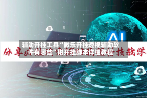 辅助开挂工具“微乐开挂透视辅助软件有哪些”附开挂脚本详细教程