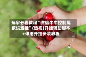 玩家必看教程“微信牛牛控制尾数设置挂”(透视)开挂辅助脚本+详细开挂安装教程