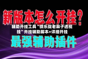 辅助开挂工具“微乐捉老麻子透视挂”开挂辅助脚本+详细开挂
