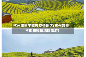 杭州哪里不能去疫情地区(杭州哪里不能去疫情地区旅游)