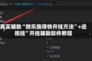 真实辅助“微乐跑得快开挂方法”+透视挂”开挂辅助软件教程