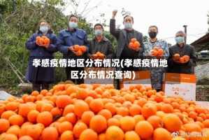 孝感疫情地区分布情况(孝感疫情地区分布情况查询)