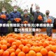 孝感疫情地区分布情况(孝感疫情地区分布情况查询)