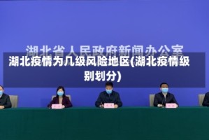 湖北疫情为几级风险地区(湖北疫情级别划分)