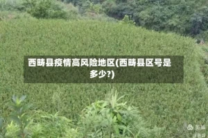 西畴县疫情高风险地区(西畴县区号是多少?)