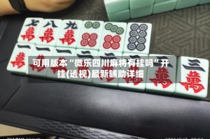 可用版本“微乐四川麻将有挂吗”开挂(透视)最新辅助详细