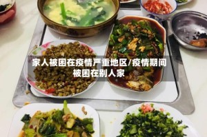 家人被困在疫情严重地区/疫情期间被困在别人家