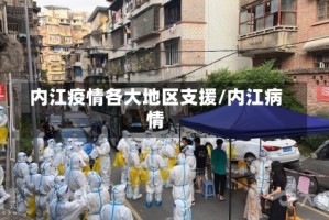 内江疫情各大地区支援/内江病情