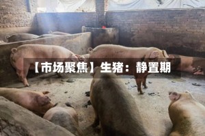 【市场聚焦】生猪：静置期