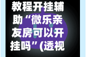 教程开挂辅助“微乐亲友房可以开挂吗”(透视挂)详细用法教程