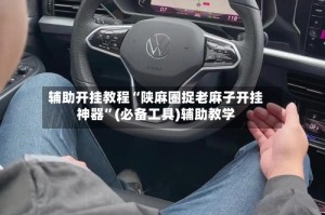 辅助开挂教程“陕麻圈捉老麻子开挂神器”(必备工具)辅助教学