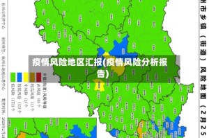 疫情风险地区汇报(疫情风险分析报告)